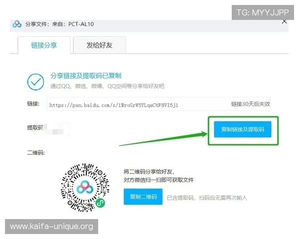 凯发登录入口链接打开失败的原因及有效的解决方案推荐