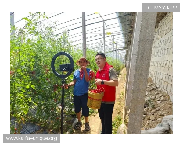 凯发群直播如何快速注册账号并开启高质量直播内容分享全流程详解